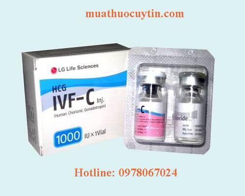 Thuốc IVF-C 5000IU 1000IU giá bao nhiêu