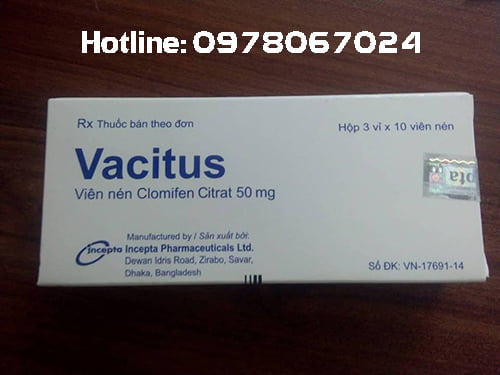 Thuốc Vacitus giá bao nhiêu, thuốc Vacitus mua ở đâu
