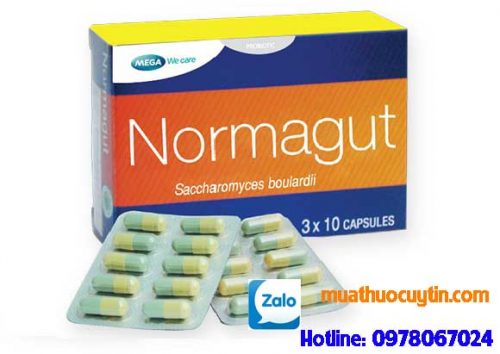 Thuốc Normagut giá bao nhiêu, thuốc Normagut mua ở đâu chính hãng