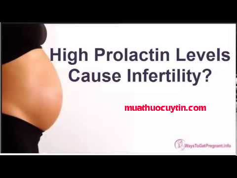 Prolactin cao có thụ thai được không