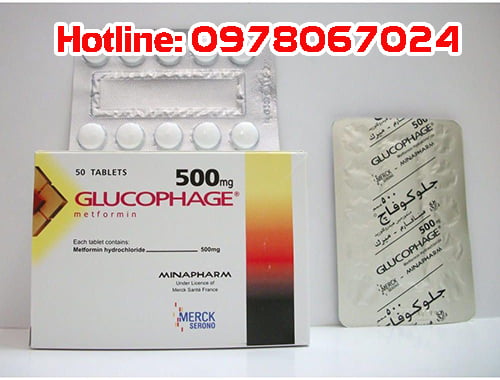 Thuốc Glucophage 500mg giá bao nhiêu, thuốc Glucophage 500mg mua ở đâu, có tác dụng gì.