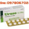 Thuốc Uruso 200mg mua ở đâu, thuốc uruso 300mg giá bao nhiêu, thuốc lợi mật bổ gan