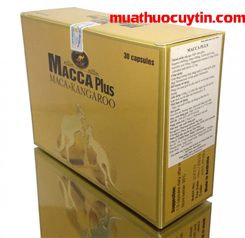 Giá thuốc Macca Plus