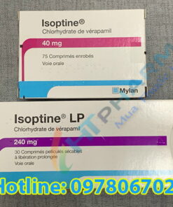 thuốc Isoptine LP giá bao nhiêu