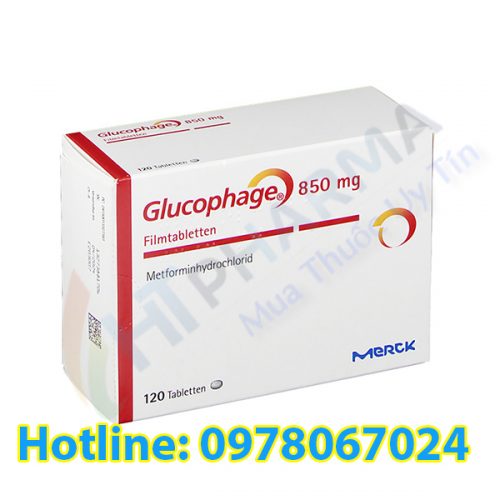 thuốc tiểu đường Glucophage 850 giá bao nhiêu