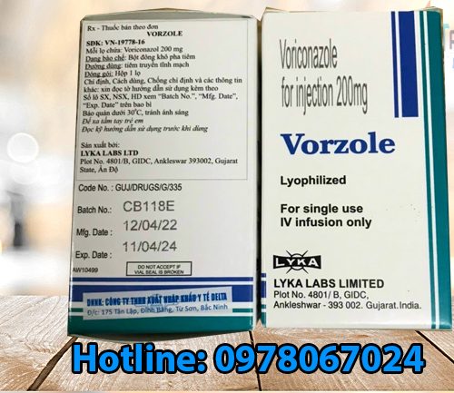 thuốc Vorzole giá bao nhiêu