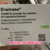 thuốc Erwinase giá bao nhiêu