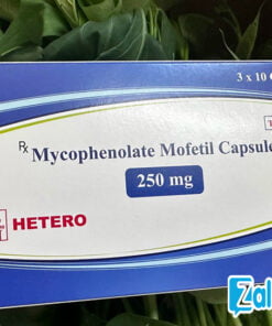 Thuốc Mycophenolate Mofetil Capsules mua ở đâu chính hãng